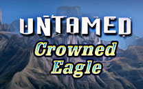 Untamed Crowned Eagle