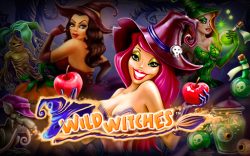 Wild Witches